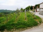 Nepremičnine - ZEMLJIŠČE - PRODAJA