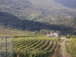 Nepremičnine - ZEMLJIŠČE // KMETIJSKO ZEMLJIŠČE - PRODAJA