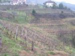 Nepremičnine - ZEMLJIŠČE - PRODAJA